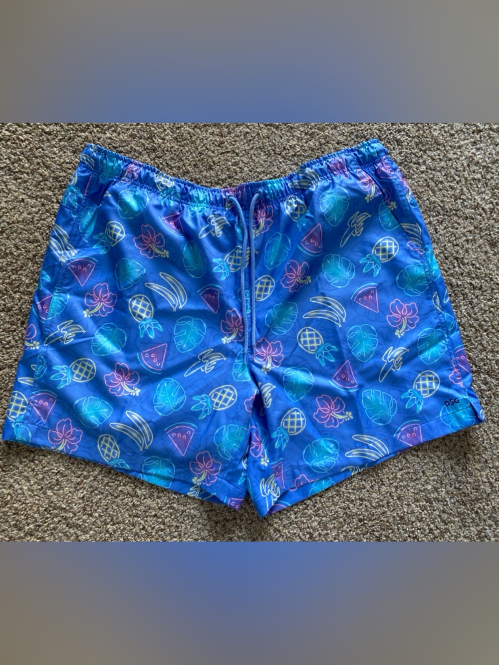 DSG Blue Tropical Fruit & Floral Swim Shorts XXL